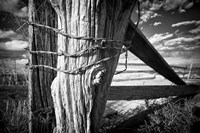 Holding Strong Fine Art Print