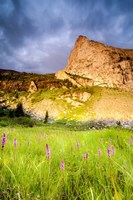 Music Summer Fine Art Print