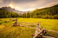 New Morning Fine Art Print