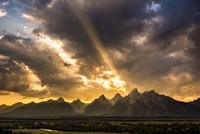 Power Of Beauty Fine Art Print