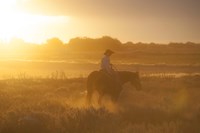 Ready To Ride Fine Art Print