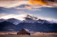 San Greys Fine Art Print