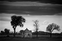 The Old Place Fine Art Print