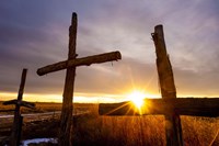 Three Fine Art Print