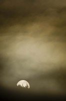 Wild Moon I Fine Art Print