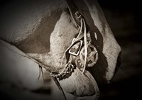 Best Friends Fine Art Print