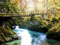 Europe in Fall Fine Art Print