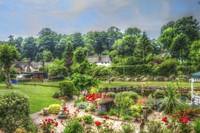 Garden 1 Fine Art Print