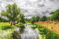 River Scene Fine Art Print