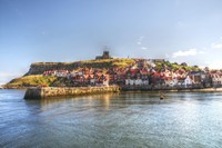 Whit By Harbour 2 Fine Art Print