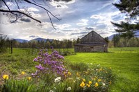 Spring Barn by Stephen Goodhue - various sizes