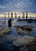 Sentinals Fine Art Print