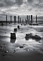 Port Willunga BW Fine Art Print