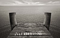 No Diving Fine Art Print