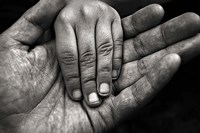 Generations Fine Art Print