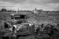 Farm Days Fine Art Print