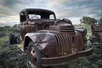 Grill Fine Art Print