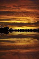 Praise the Day Fine Art Print