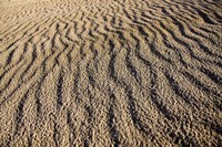 Canunda National Park Fine Art Print