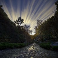 Utopia Fine Art Print