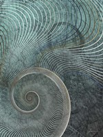 Surround I Fine Art Print