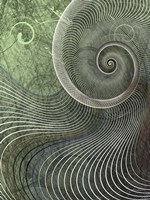 Surround II Fine Art Print