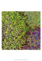 Profusion II Fine Art Print