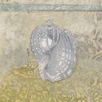 Coastal Cameo III by June Erica Vess - various sizes