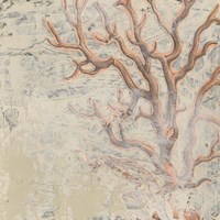 Coastal Cameo VI Fine Art Print