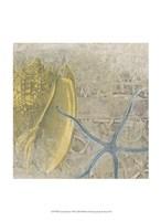 Coastal Cameo VII Fine Art Print