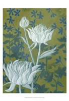 Wild Chrysanthemums II Framed Print