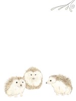 Baby Animals IV Framed Print