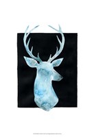 White Tail Bust I Framed Print