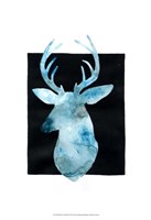 White Tail Bust II Framed Print