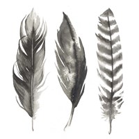 Watercolor Feathers I Fine Art Print