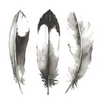 Watercolor Feathers II Fine Art Print