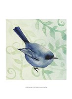Little Bird I Fine Art Print
