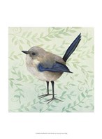 Little Bird III Fine Art Print