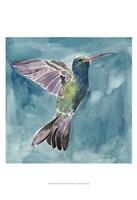 Watercolor Hummingbird I Fine Art Print