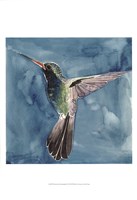 Watercolor Hummingbird II Fine Art Print