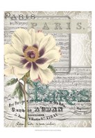 Musical Paris II Fine Art Print