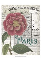 Musical Paris III Fine Art Print