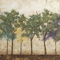 Arbor Discourse I Framed Print