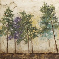 Arbor Discourse II Framed Print