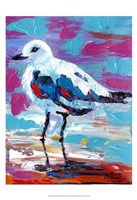 Seaside Birds II Fine Art Print
