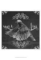Chalkboard Bird II Framed Print
