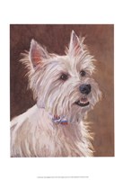Mac West Highland Terrier Fine Art Print