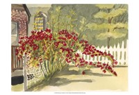 Watercolor Garden VI Fine Art Print