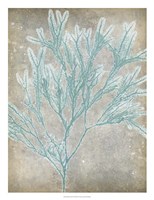 Spa Seaweed I by Jennifer Goldberger - 20" x 26"
