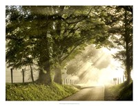 Fresh Morning I Fine Art Print